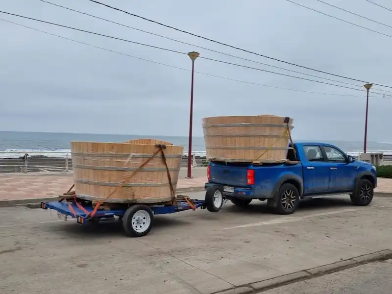 Carro Multipropósito